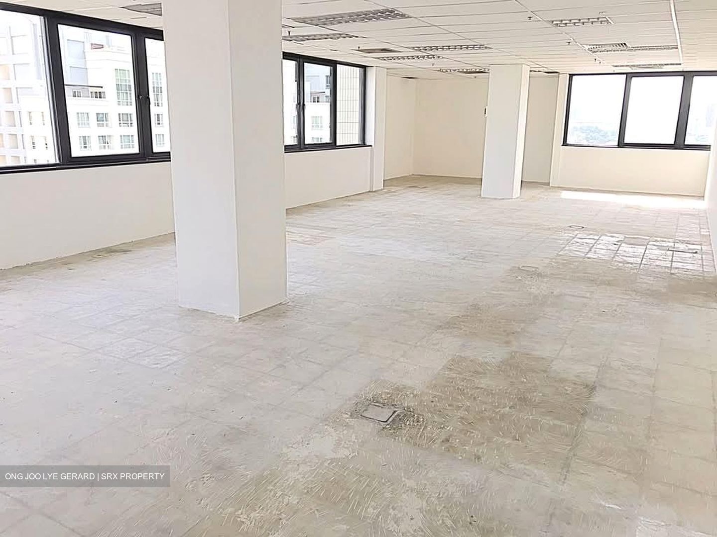 Og Albert Complex (D7), Office #619740681